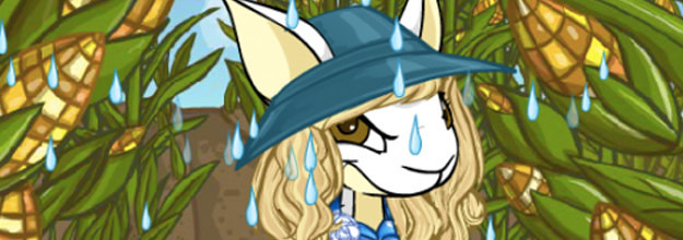playing Neopets