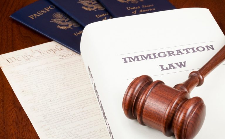 Roles and responsibilities of an immigration law firm
